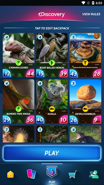 Card Explorer - Preview 1