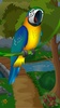 Talking Parrot screenshot 2