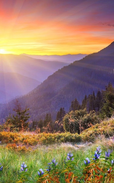 Mountains Live Wallpaper - Preview 6