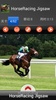 HorseRacing Jigsaw screenshot 3