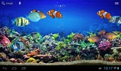 -=Tropic fishes aquarium=- screenshot 6