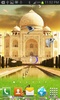 TAJMAHAL BIRDS Live Wallpaper screenshot 3