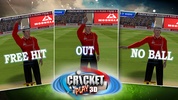 Cricket Play 3D: Live The Game screenshot 2