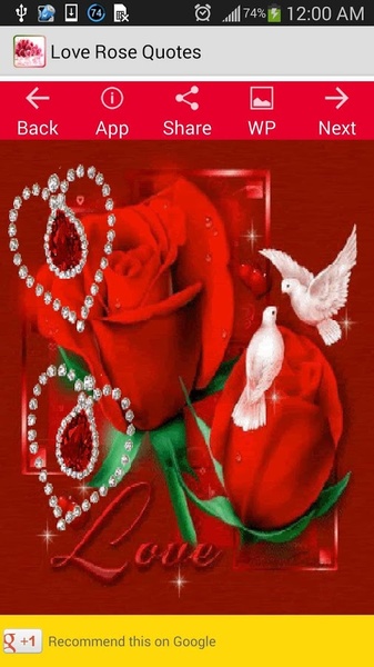 Love Rose Quotes - Preview 8