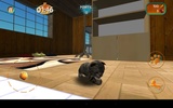 Cat Simulator screenshot 4