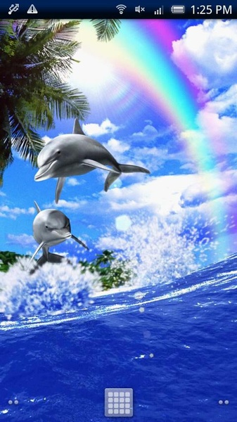 Dolphin Rainbow Trial - Preview 3