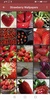 Strawberry Wallpapers screenshot 1