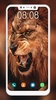 Lion Wallpapers HD screenshot 5