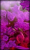 Purple Flowers Live Wallpaper screenshot 4