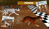 Greyhound Dog Racing 3D screenshot 18