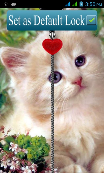 Kitten Zipper Screen Lock - Preview 1
