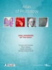 Atlas of Proctology screenshot 16