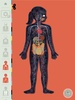 The Human Body by Tinybop screenshot 6