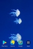 Jellyfish Wallpapers screenshot 1