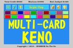 Multi-Card Keno screenshot 9