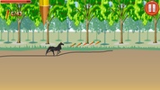 Wild Horse Scribble Race screenshot 4