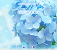 Blue Hydrangea Theme screenshot 5