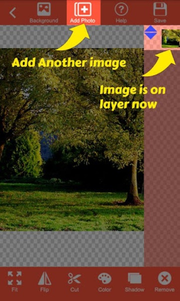 photo layer - Preview 3