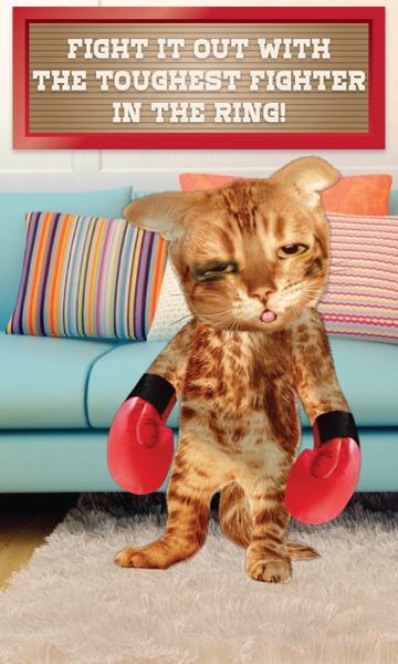 Boxing Cat - Preview 1