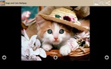 Dogs and Cats Wallpapers screenshot 1