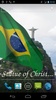 Brazil Flag screenshot 4