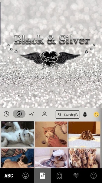 BlackandSliver - Preview 2