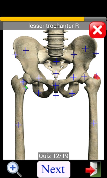 Anatomy Quiz Lite - Preview 11