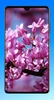 Beautiful Spring Wallpaper 4K screenshot 15