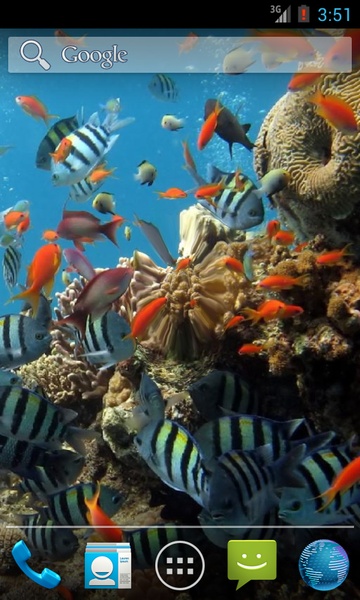 Colorful Tropical Fishes - Preview 1