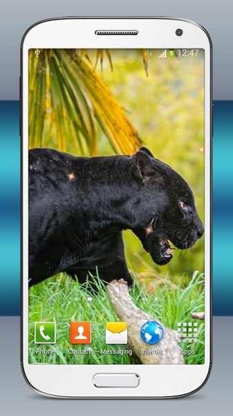 Black Panther Live Wallpaper - Preview 5