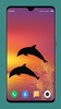 Dolphin Wallpaper HD screenshot 16