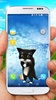 Black cat walking screenshot 7