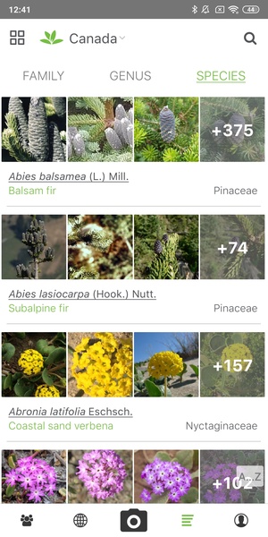 PlantNet Plant Identification - Preview 4