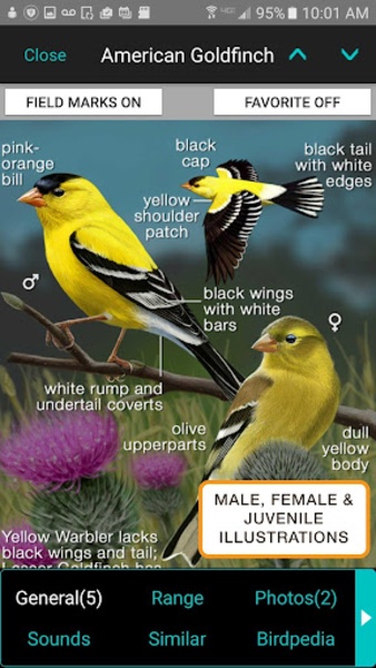 iBird Lite - Preview 24