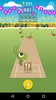Snail Cricket - Cricket Game screenshot 5