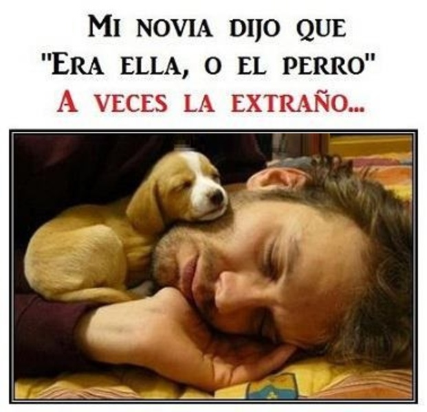 Imagenes de risa y chistes - Preview 7