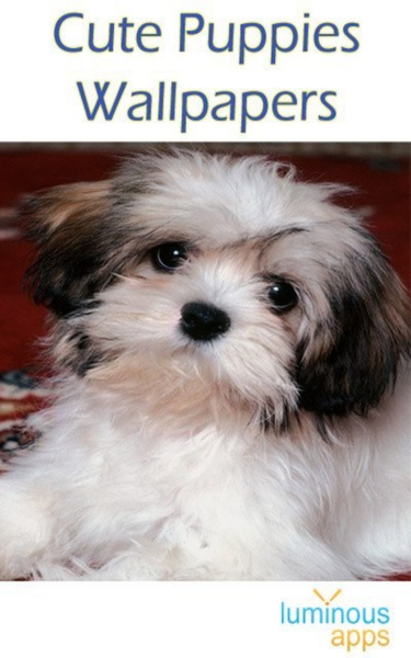 Cute Puppies Wallpapers - Preview 8