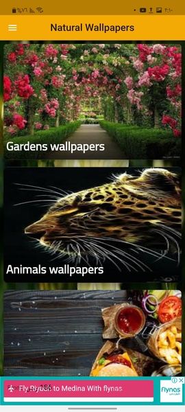 Natural Wallpapers - Preview 4