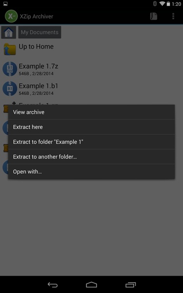 XZip - Preview 4