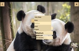 Chinese Chess screenshot 4