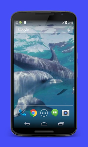Dolphins Video Live Wallpaper - Preview 3