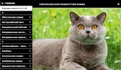 Породы кошек screenshot 1