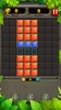 Block Puzzle Guardian screenshot 10
