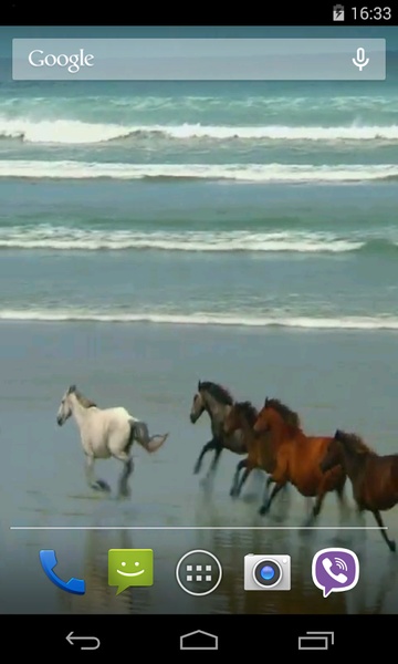 Amazing horses - Preview 1