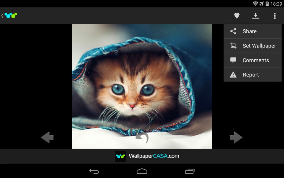 Wallpaper CASA HD - Preview 9