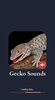 Gecko Sounds screenshot 4