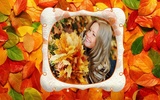 Autumn Photo Frames screenshot 2