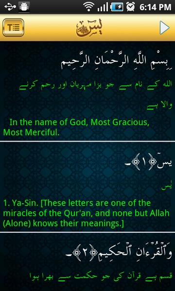 Surah Yaseen Urdu - Preview 4