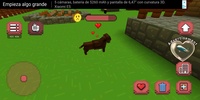 Pet Puppy Love screenshot 13