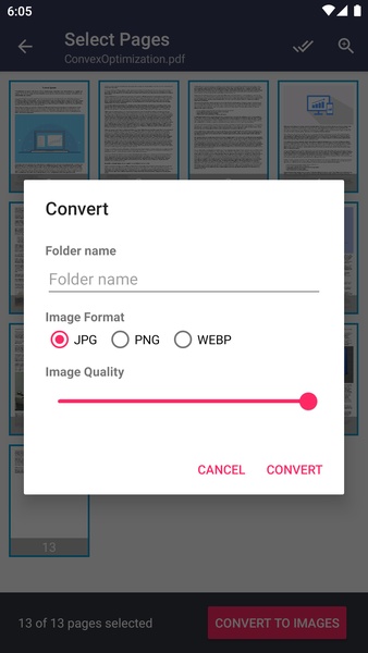 PDF to Image Converter - Preview 4